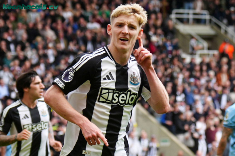 Đội hình dự kiến trước trận Sunderland vs Newcastle