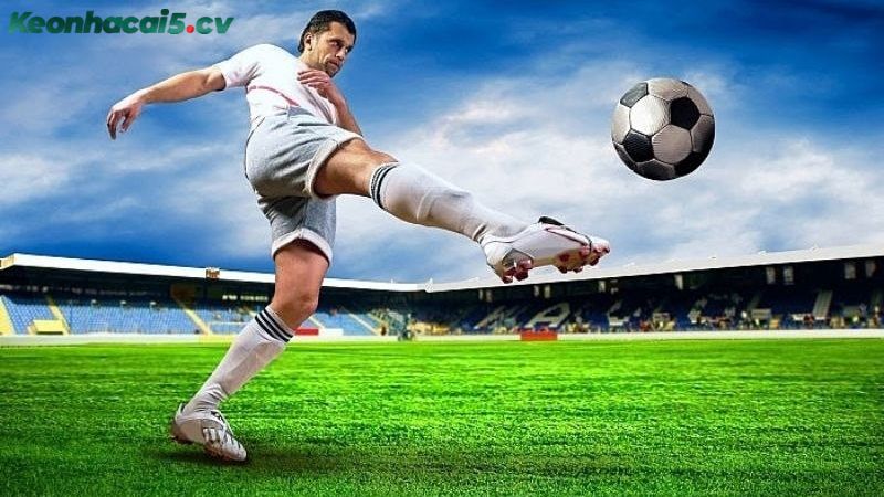 Tận dụng những dữ liệu thống kê được cập nhật mới nhất để đặt kèo
