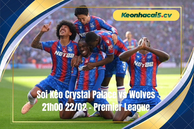 Đội hình dự kiến trước trận Crystal Palace vs Wolves