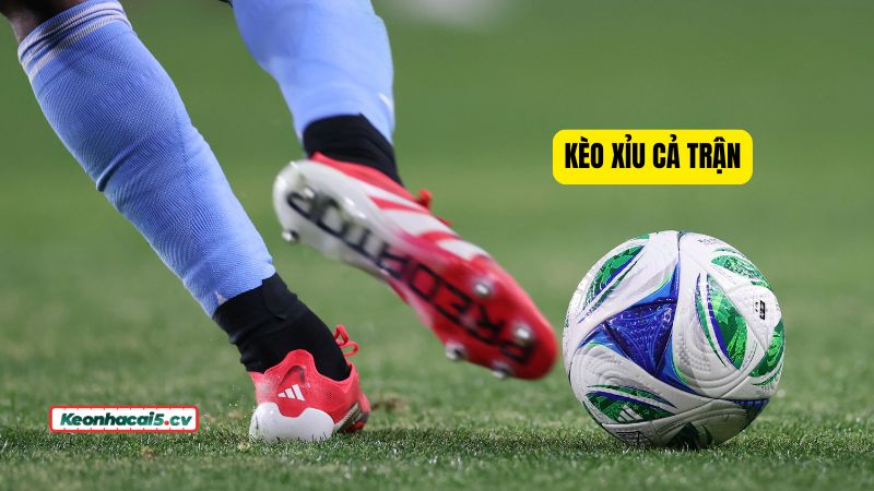 Cách bắt kèo Xỉu cả trận cho giải đấu thực dụng là ưu tiên các giải có xu hướng về Xỉu