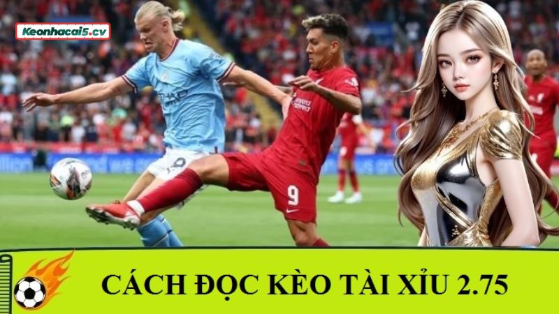 Cách đọc kèo chuẩn chỉ nhất